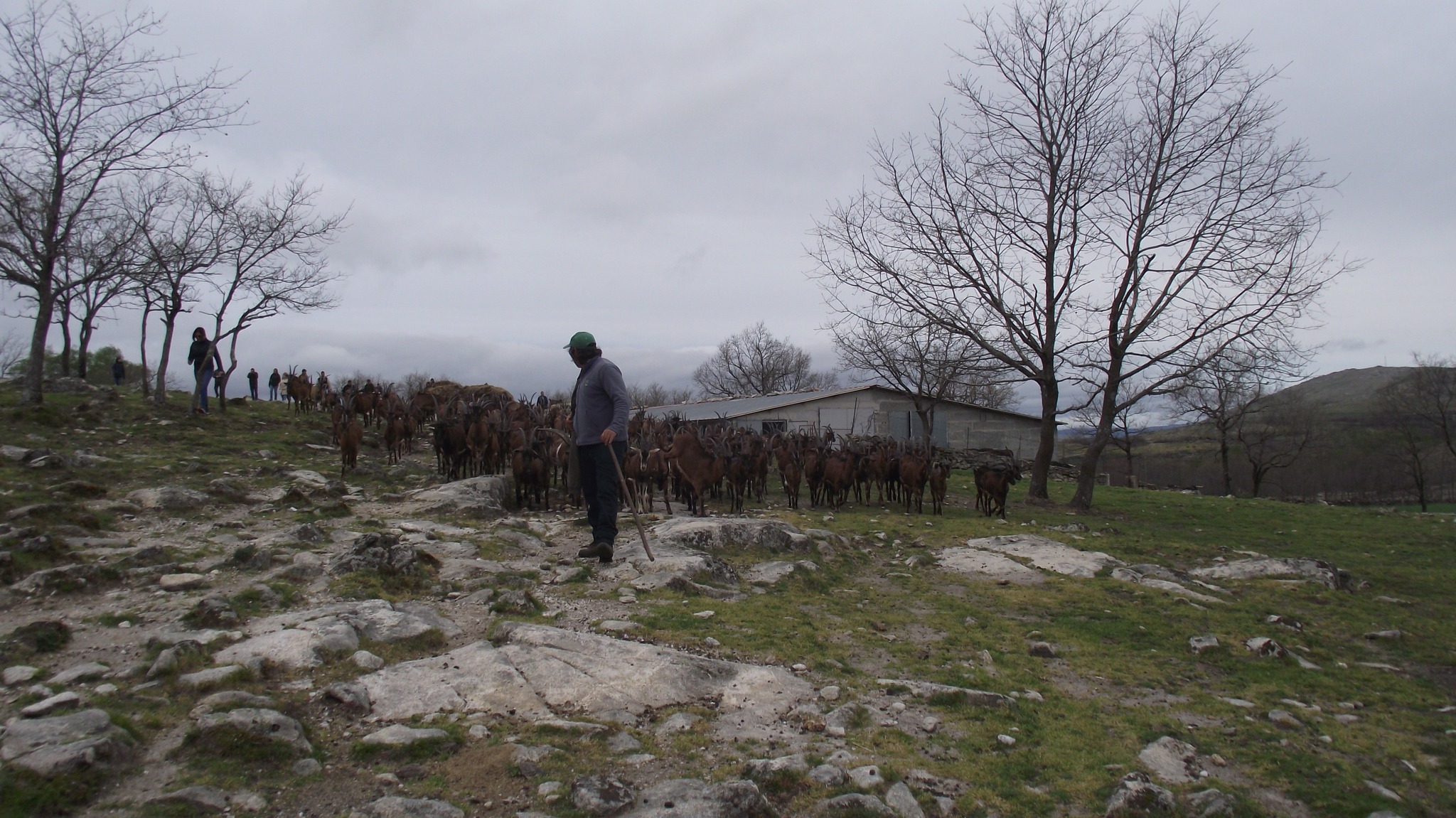 20260411_apez_2.jpg 20260411_apez_2.jpg